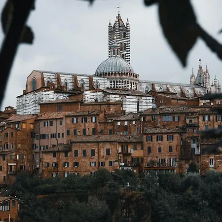 Roger's * Siena